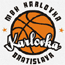 https://img.expogylbj.com/img/basketball/team/0c2f73d2ab7041cf90029a20deff7f17.gif